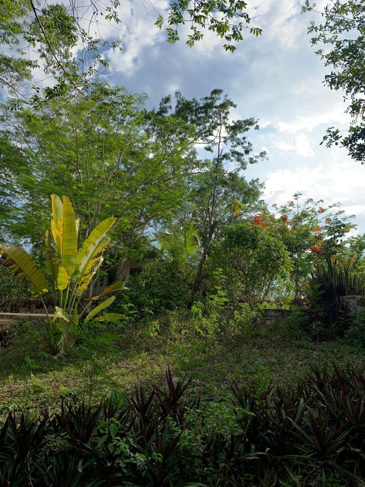 El Encanto - Hotel Boutique Chichén-Itzá 외부 사진
